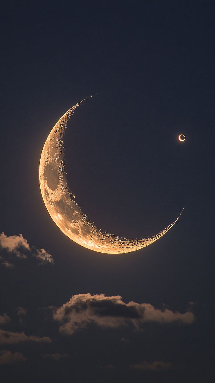 RENOVAÇÃO 🌘