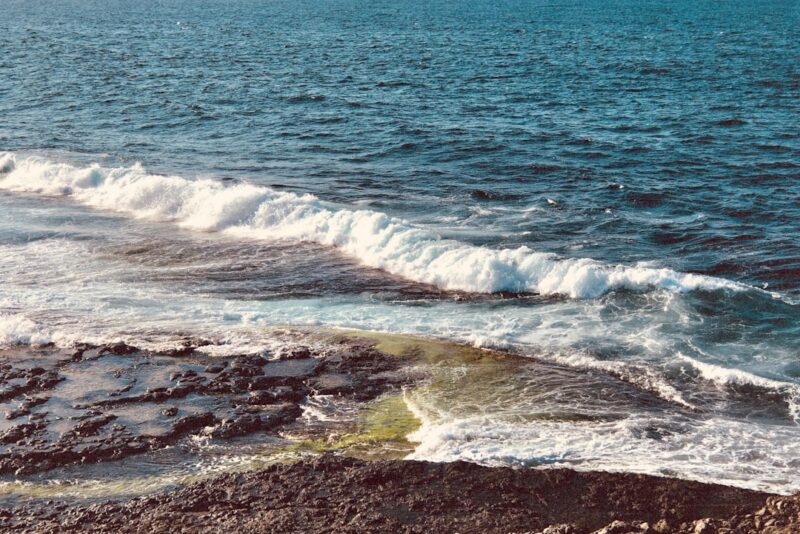The Ocean Keeps a Secret Letter Just for You